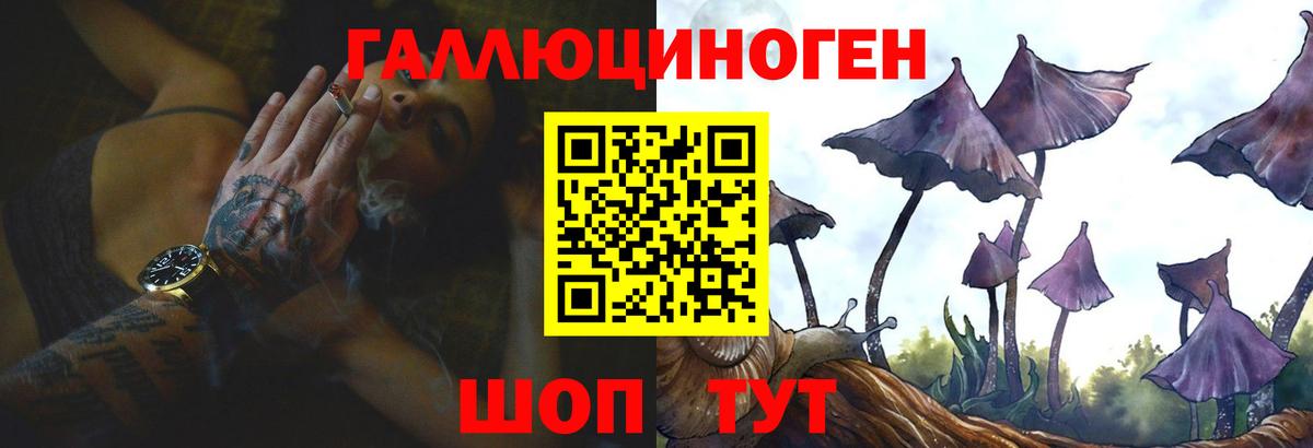 Псилоцибиновые грибы Psilocybine cubensis Нефтеюганск